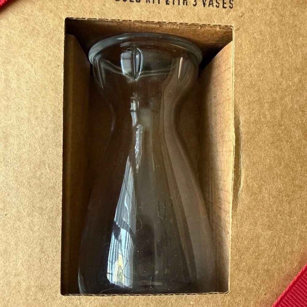Restoration Hardware Mini Jeanne d'Arc Crocus Trio Bulb Kit 3 Vases 42800108
